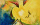 Abstract painting with blue, yellow, red, and black color shades